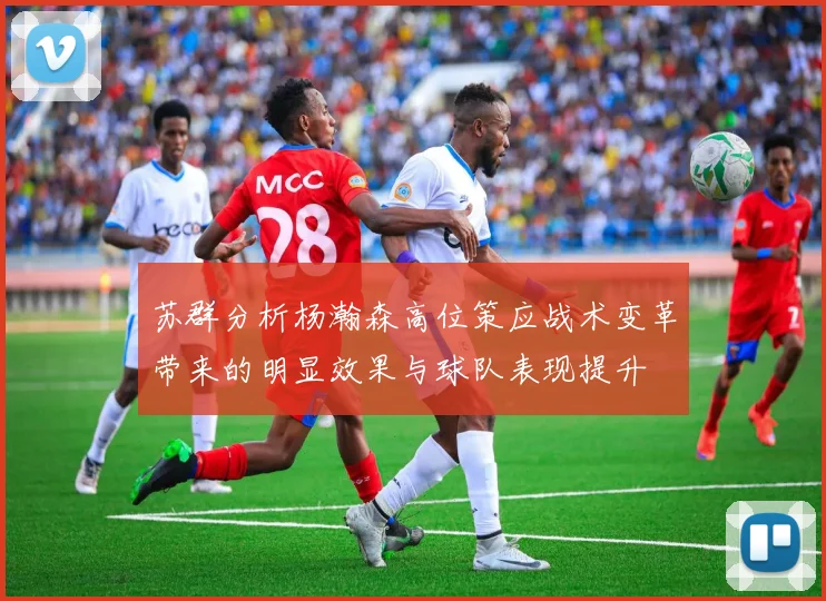 苏群分析杨瀚森高位策应战术变革带来的明显效果与球队表现提升