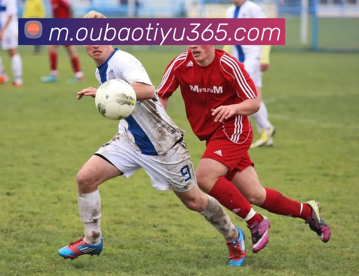 欧宝体育平台生态图