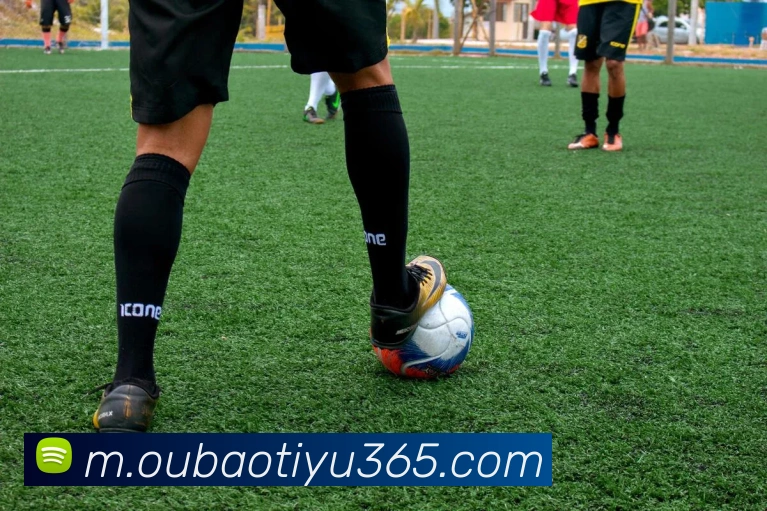 欧宝体育APP 封面图